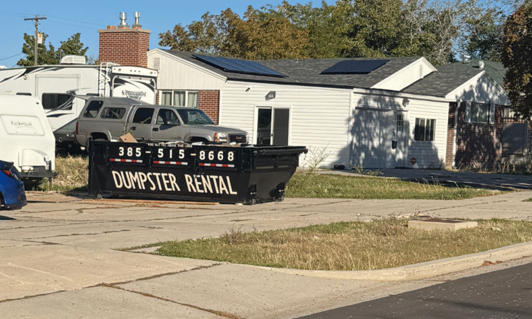 dumpster rental (1)
